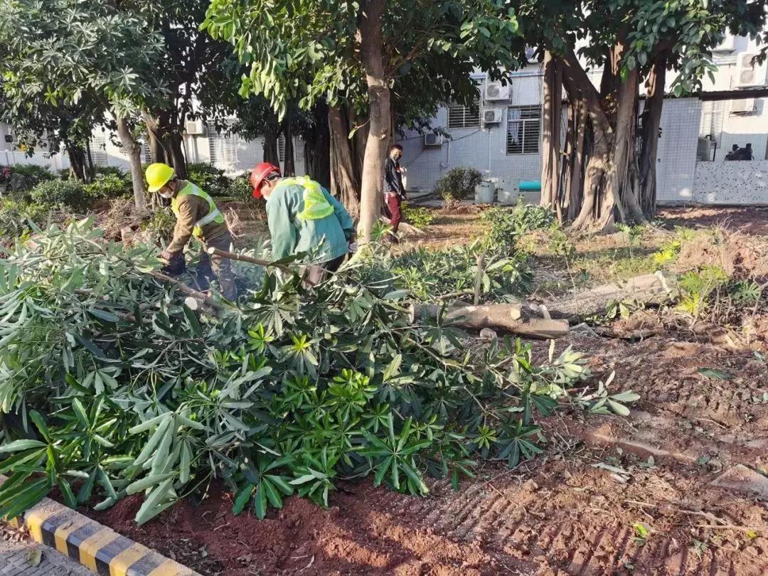 1583721422166188.jpg 1583721422166188.jpg