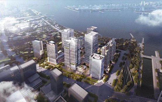 1585014196110892.jpg 奇信1.jpg