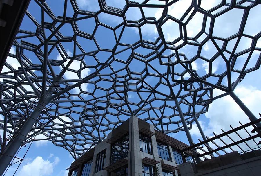 1587873617119404.jpg 卓藝1.jpg