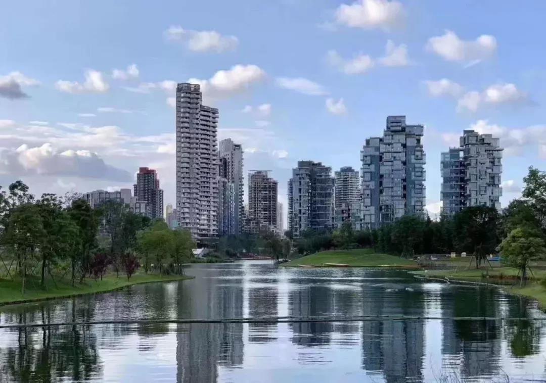 1597285059101511.jpg 1597285059101511.jpg