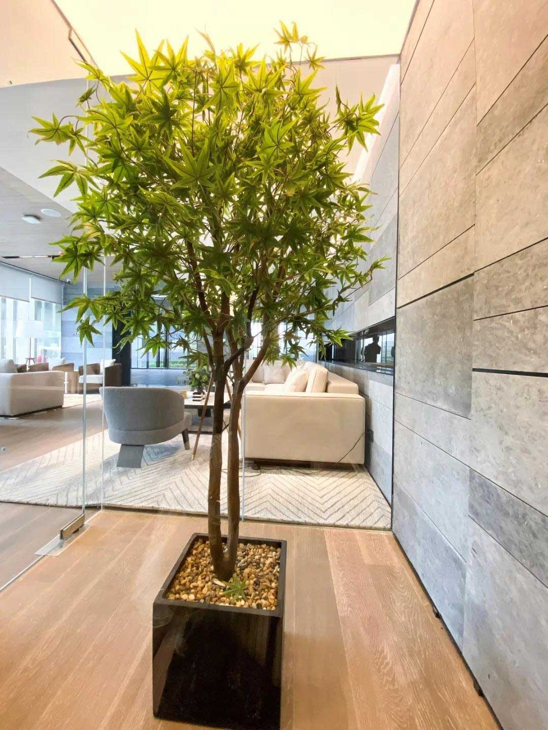 1597907663131849.jpg 5.jpg