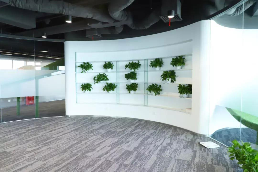 1599099750116874.jpg 1599099750116874.jpg