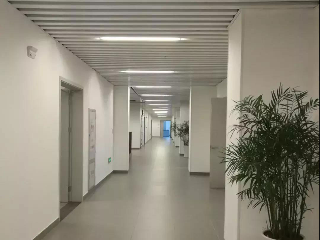 1599099835977079.jpg 1599099835977079.jpg