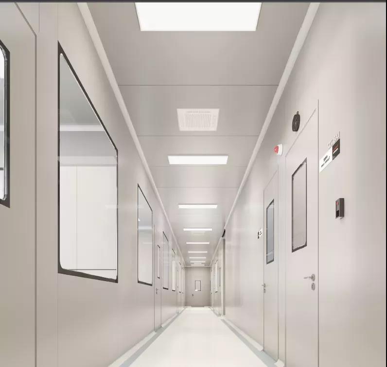 1605709036611997.jpg 1605709036611997.jpg