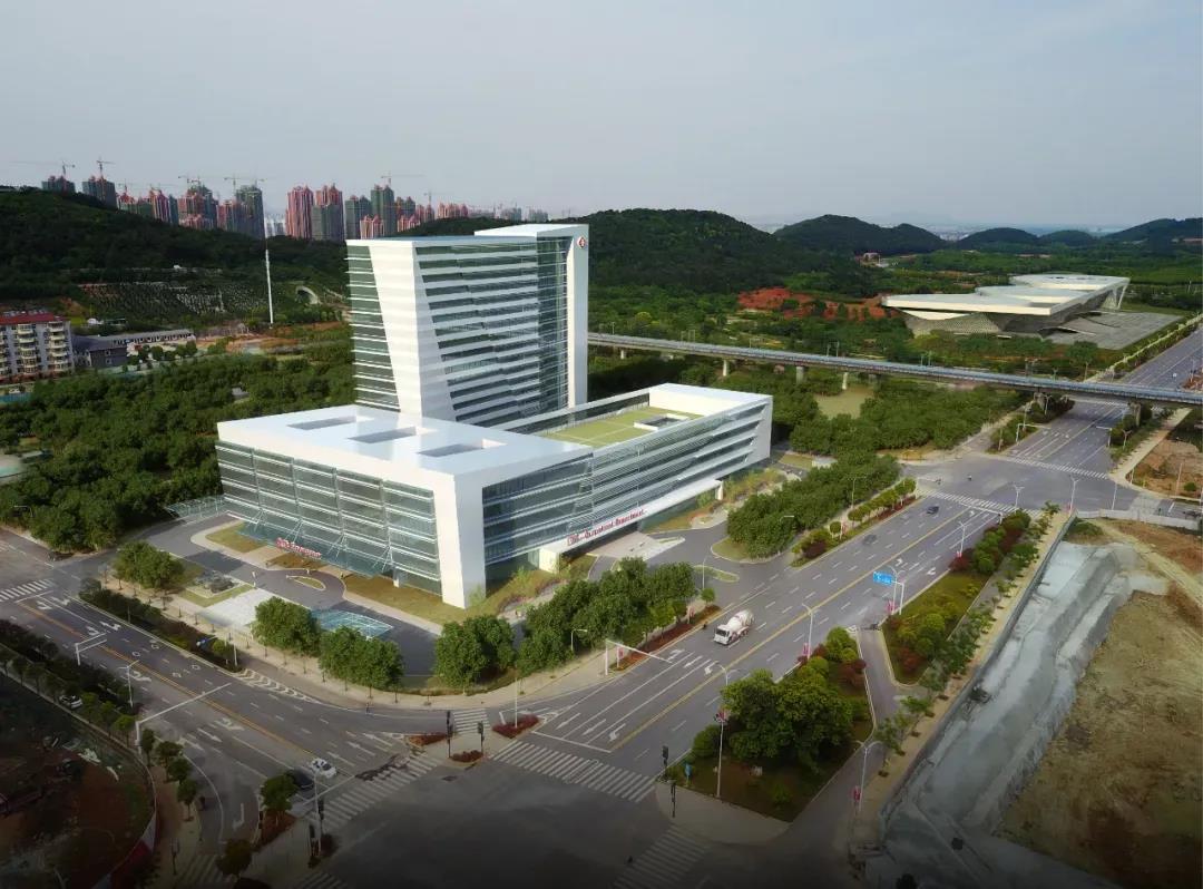 1612345878385091.jpg 1612345878385091.jpg