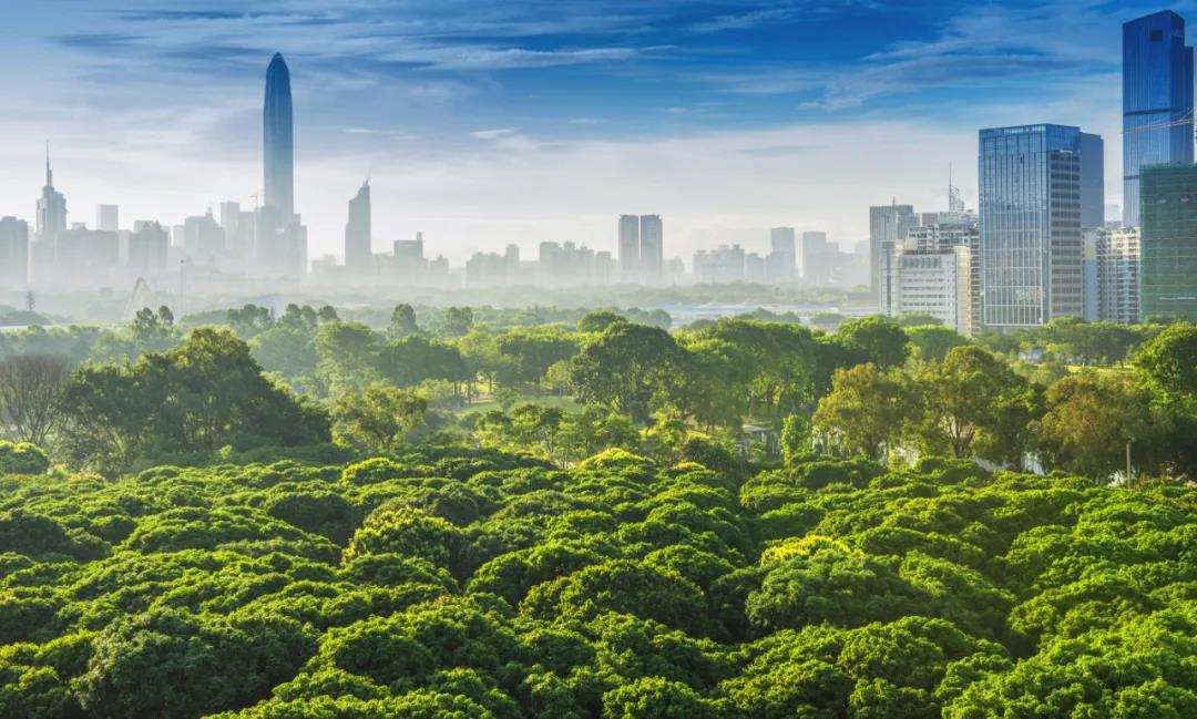 1621823404115458.jpg 1621823404115458.jpg