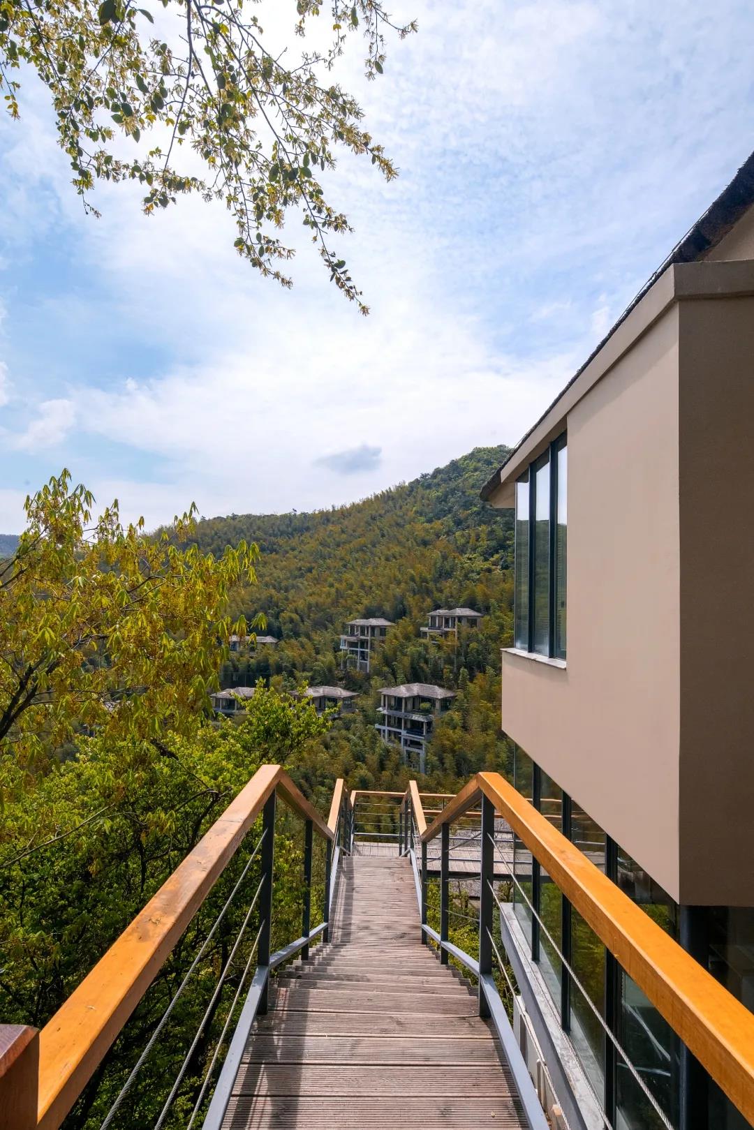 1623313059111473.jpg 1623313059111473.jpg