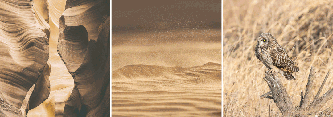 1670290339795657.gif 微信圖片_20221206090635.gif